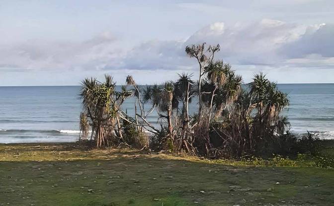 Land Lot for Sale Lainjanji, East Sumba Regency. Photo#2
