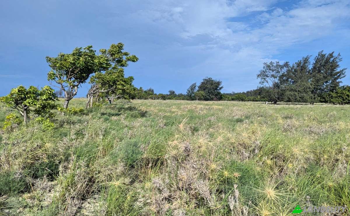 Land Lot for Sale Palakahembi, East Sumba Regency, East Nusa Tenggara, Indonesia, Pandawai. Photo 1