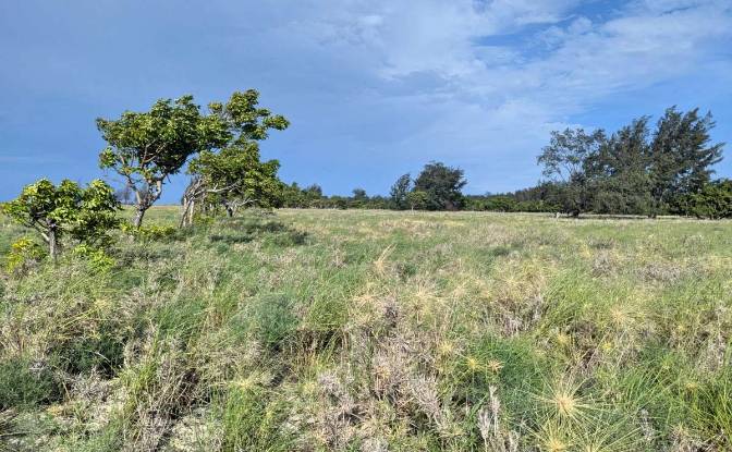 Land Lot for Sale - Palakahembi, Indonesia