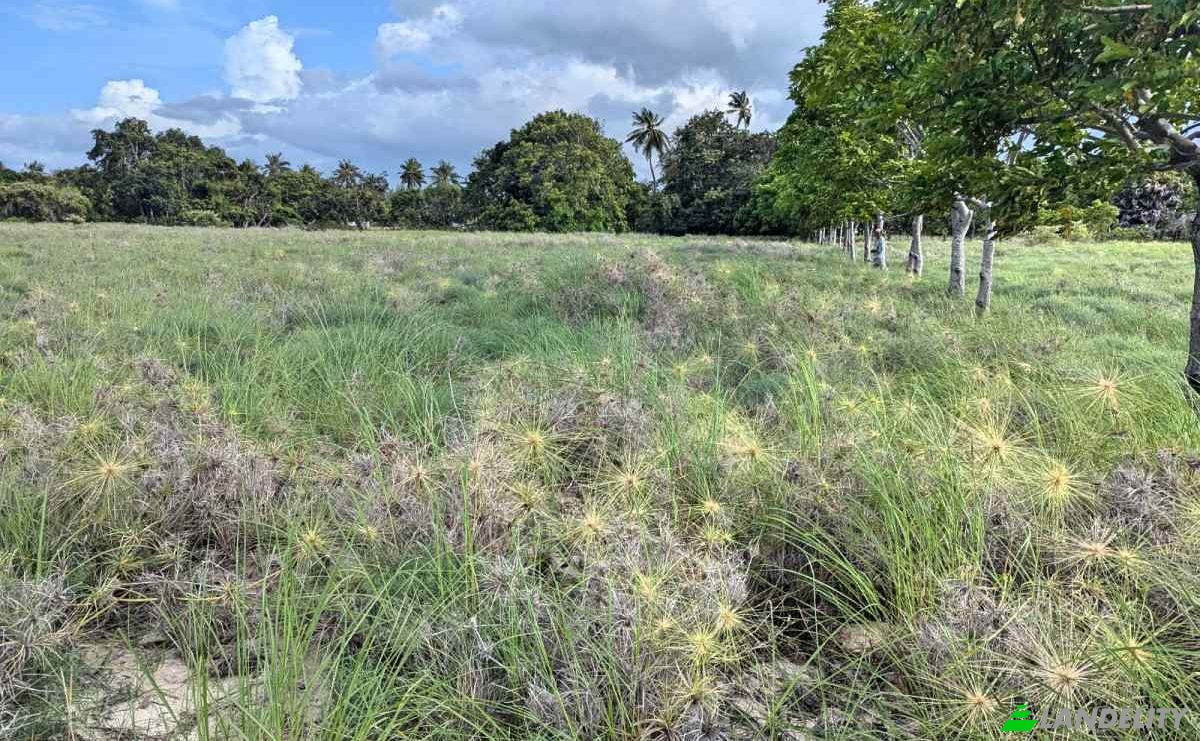 Land Lot for Sale Palakahembi, East Sumba Regency, East Nusa Tenggara, Indonesia, Pandawai. Photo 2