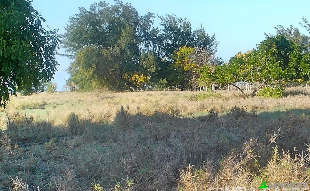 Land Lot for Sale Palakahembi, East Sumba Regency, East Nusa Tenggara, Indonesia, Pandawai. Photo 3
