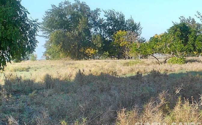 Land Lot for Sale Palakahembi, East Sumba Regency. Photo#3