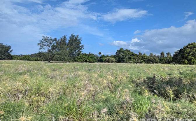 Land Lot for Sale Palakahembi, East Sumba Regency. Photo#4