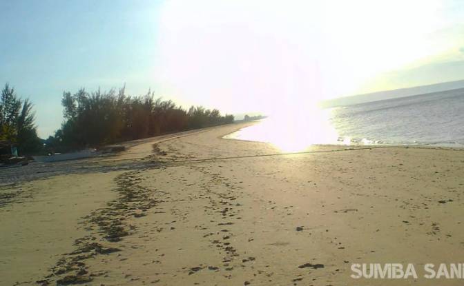 Land Lot for Sale - Palakahembi, Indonesia