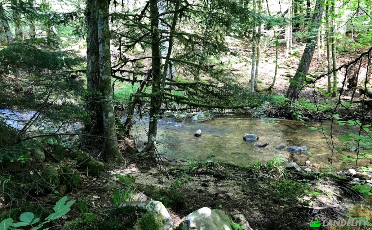 Односімейний будинок продаж 6 Rte des Catherines, 63930 La Renaudie, La Renaudie, Puy-de-Dome, Auvergne-Rhone-Alpes, France. Фото 12