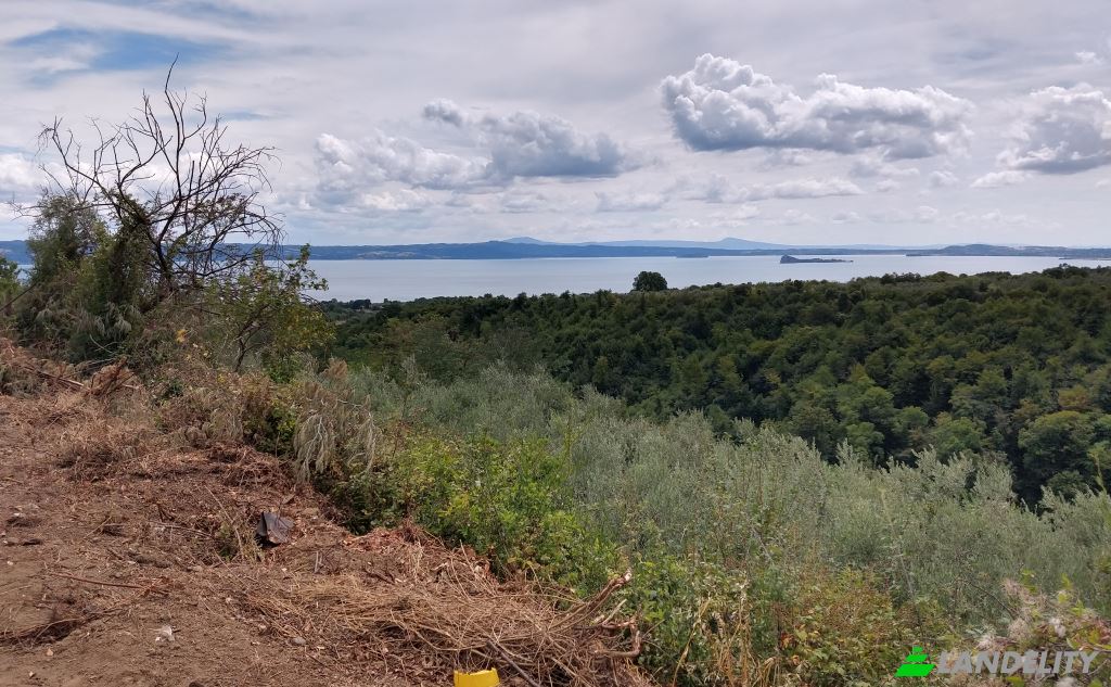 Land Lot for Sale Via del Donatore di Sangue, 01010 Gradoli VT, Gradoli, Province of Viterbo, Lazio, Italy. Photo 1