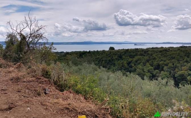 Land Lot for Sale Via del Donatore di Sangue. Photo#1 Land Lot for Sale Via del Donatore di Sangue. Photo#1
