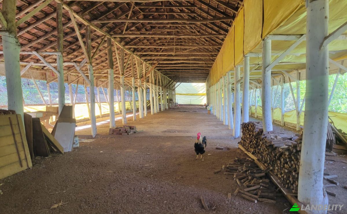 Granja/Rancho en venta R Joao Becker, 2067, Pinhal Alto, Nova Petropolis, State of Rio Grande do Sul, Brazil, 95150-000. Foto 6