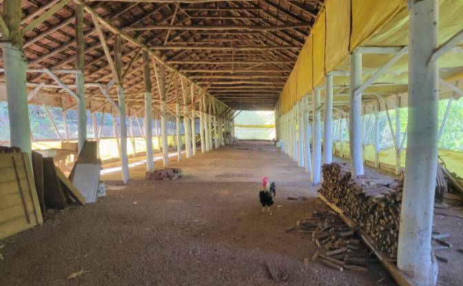 Granja/Rancho en venta R Joao Becker, 2067. Foto#6