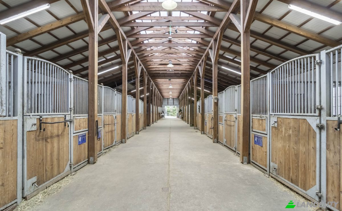 Investing/Development for Sale Krubki-Gorki 16, 05-326, Krubki-Gorki, WoLomin County, Masovian Voivodeship, Poland. Photo 5