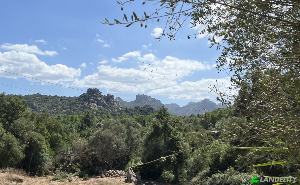 Land Lot for Sale Via Petralonga, 07021 Arzachena SS, Arzachena, Province of Sassari, Sardinia, Italy. Photo 1