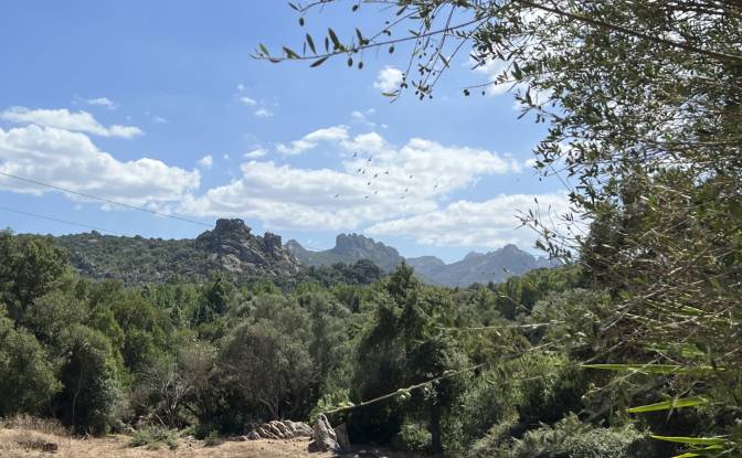 Land Lot for Sale - Arzachena, Italy