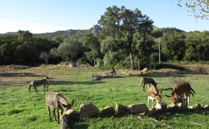 Land Lot for Sale Via Petralonga. Photo#2