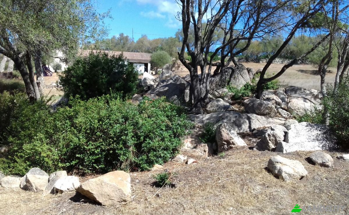 Land Lot for Sale Via Petralonga, 07021 Arzachena SS, Arzachena, Province of Sassari, Sardinia, Italy. Photo 3