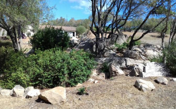 Land Lot for Sale Via Petralonga. Photo#3