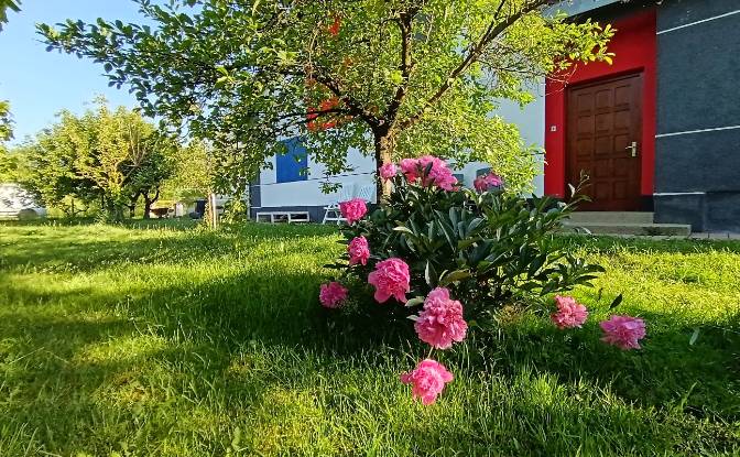 Single Family Home for Sale Lendavska cesta 1. Photo#13 Single Family Home for Sale Lendavska cesta 1. Photo#13