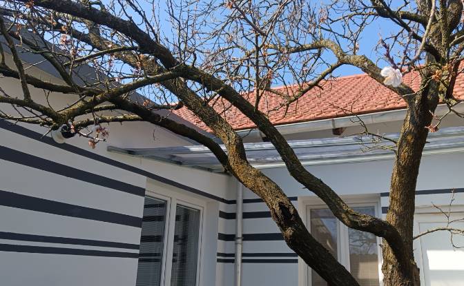 Single Family Home for Sale Lendavska cesta 1. Photo#2 Single Family Home for Sale Lendavska cesta 1. Photo#2
