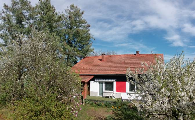 Single Family Home for Sale Lendavska cesta 1. Photo#6 Single Family Home for Sale Lendavska cesta 1. Photo#6