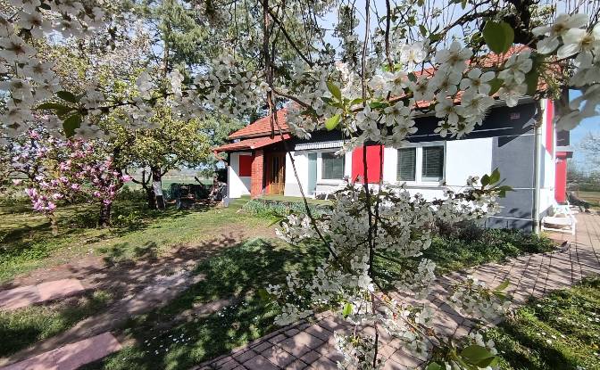 Single Family Home for Sale Lendavska cesta 1. Photo#7 Single Family Home for Sale Lendavska cesta 1. Photo#7