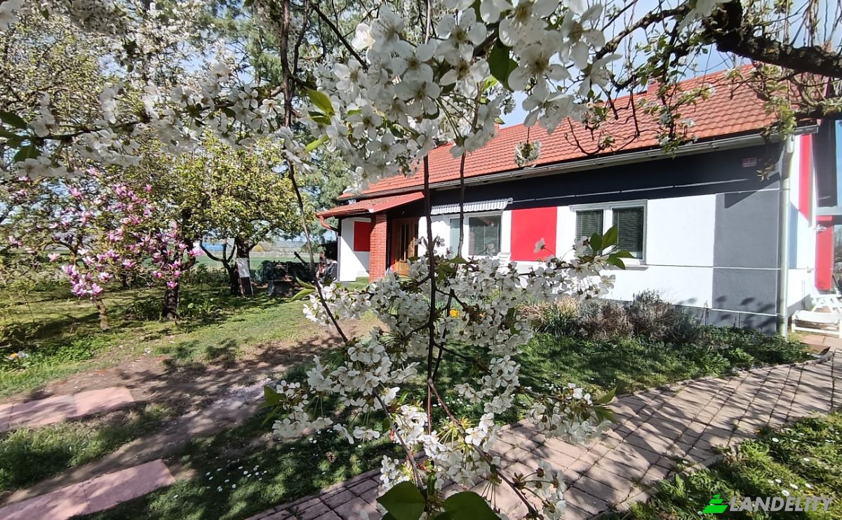 Single Family Home for Sale Lendavska cesta 1, 9220 Lendava, Petisovci, Municipality of Lendava, Lendava, Slovenia. Photo 8