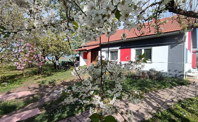 Single Family Home for Sale Lendavska cesta 1. Photo#8 Single Family Home for Sale Lendavska cesta 1. Photo#8