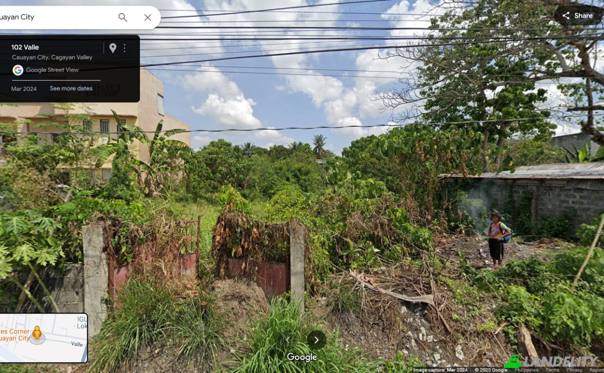 Investing/Development for Sale 102 Valle, Cauayan City, Isabela, Cagayan Valley, Philippines. Photo 11