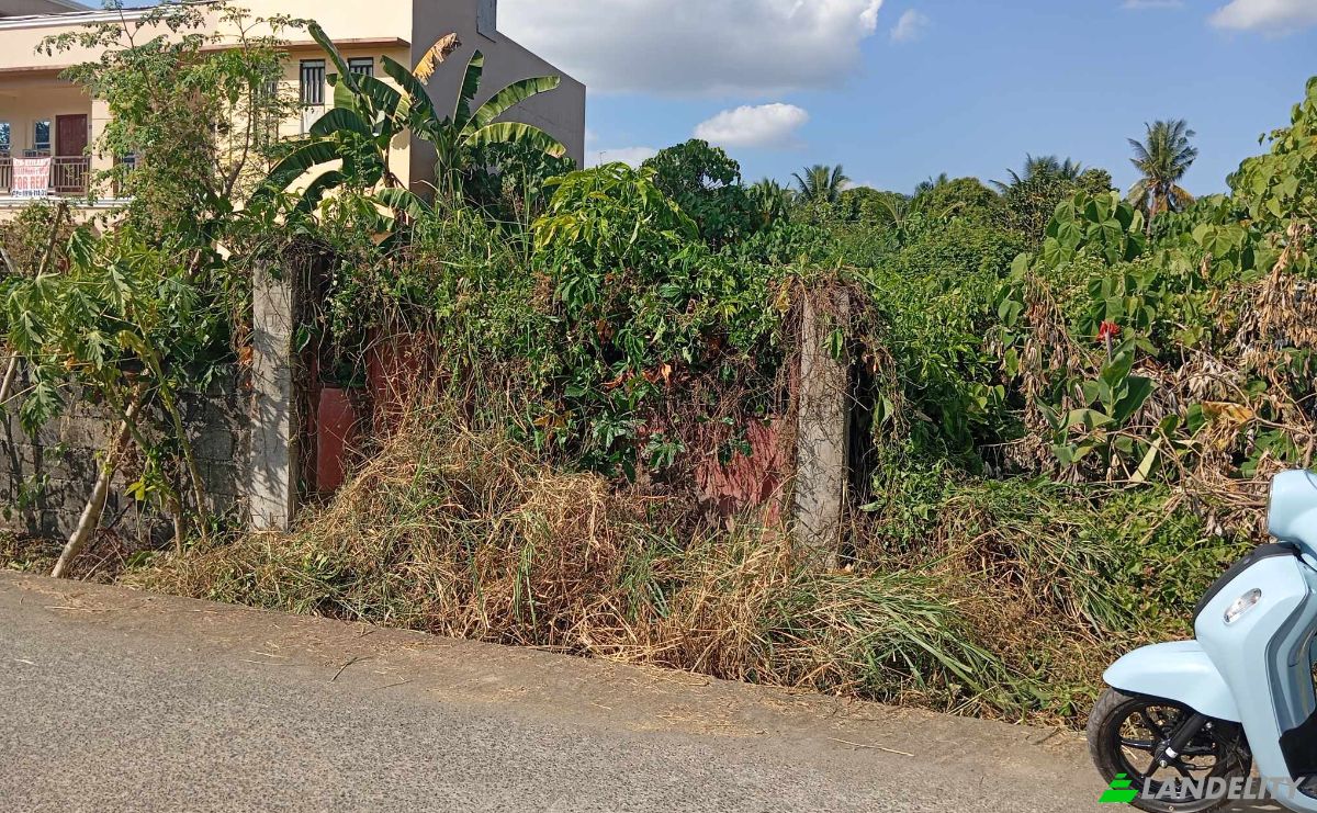 Investing/Development for Sale 102 Valle, Cauayan City, Isabela, Cagayan Valley, Philippines. Photo 3