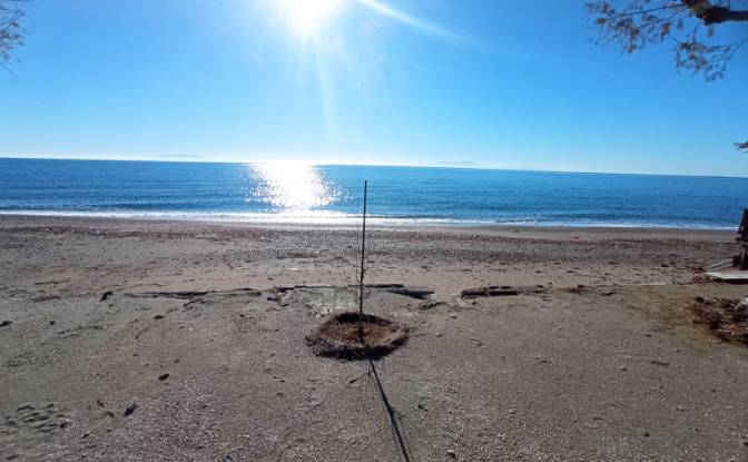 Business for Rent Vatera 813 00, Vatera. Photo#3 Business for Rent Vatera 813 00, Vatera. Photo#3