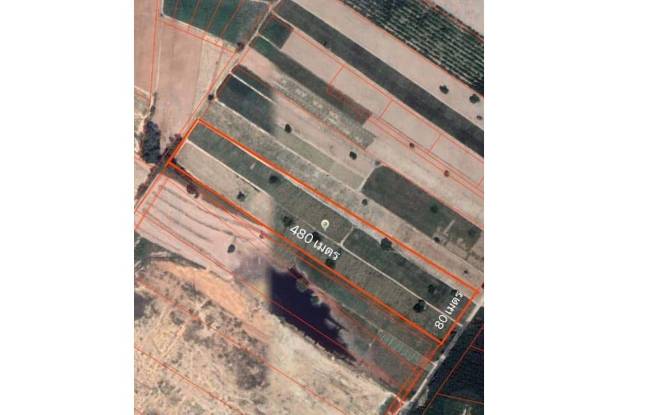 Investing/Development for Sale 538Mabyangphon. Photo#1 Investing/Development for Sale 538Mabyangphon. Photo#1