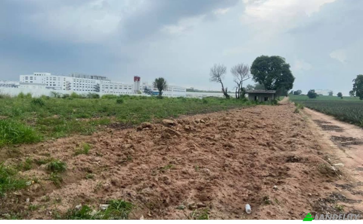 Investing/Development for Sale 538Mabyangphon Sub-district Amphoe Pluak Daeng, Chang Wat Rayong 21140, Map Yang Phon, Pluak Daeng District, Rayong, Thailand. Photo 3