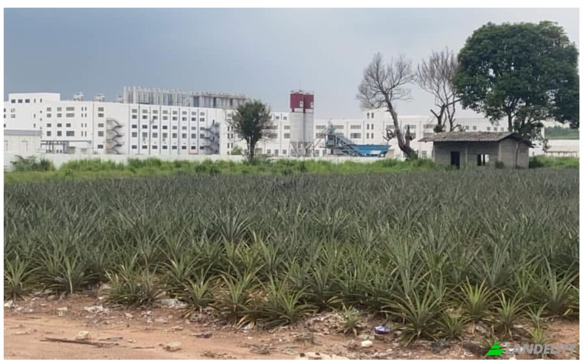 Investing/Development for Sale 538Mabyangphon Sub-district Amphoe Pluak Daeng, Chang Wat Rayong 21140, Map Yang Phon, Pluak Daeng District, Rayong, Thailand. Photo 4