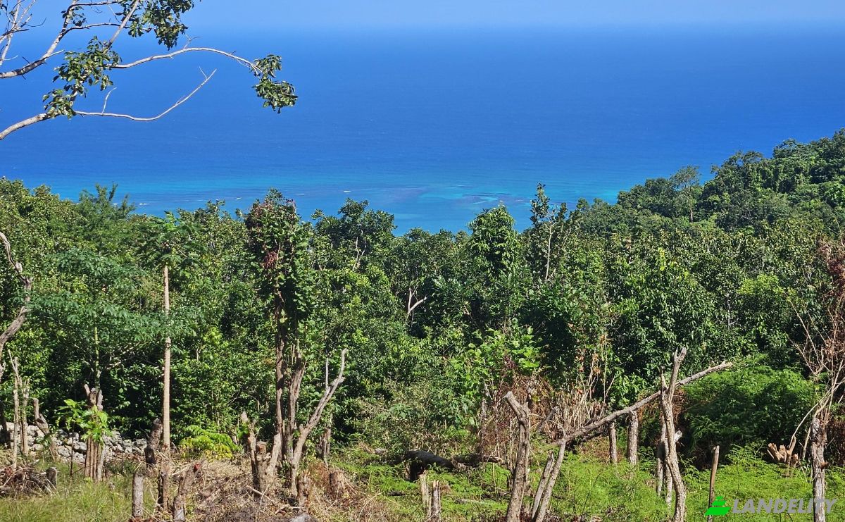 Land Lot for Sale StBrans Burg, St James Parish, Jamaica. Photo 10