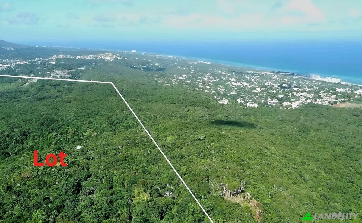 Land Lot for Sale StBrans Burg, St James Parish, Jamaica. Photo 14