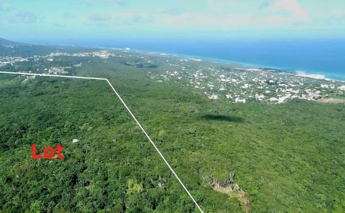 Land Lot for Sale StBrans Burg, St James Parish. Photo#14