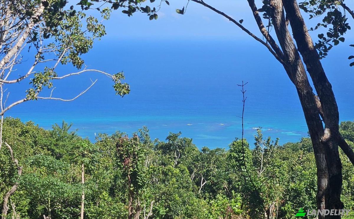 Land Lot for Sale StBrans Burg, St James Parish, Jamaica. Photo 5