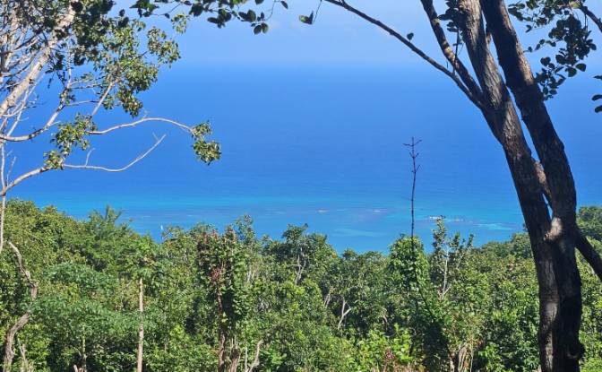 Land Lot for Sale StBrans Burg, St James Parish. Photo#5