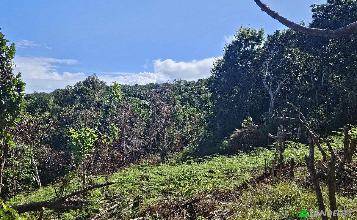 Land Lot for Sale StBrans Burg, St James Parish, Jamaica. Photo 7