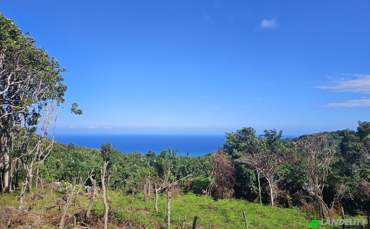 Land Lot for Sale StBrans Burg, St James Parish, Jamaica. Photo 8