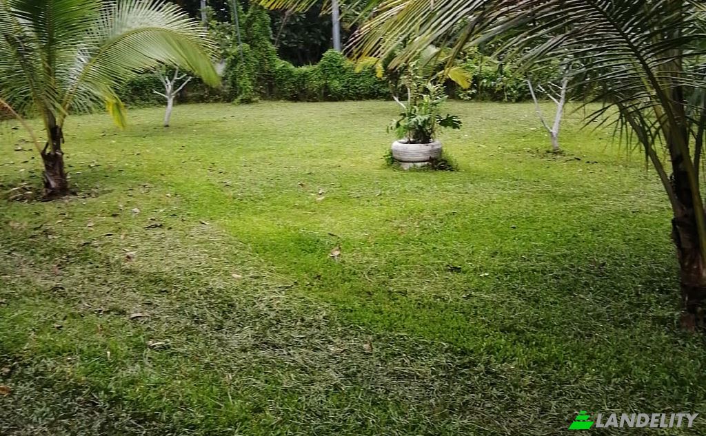 Lot de terrain à vendre Provincia de Alajuela, Orotina, Alajuela Province, Costa Rica. Photo 2