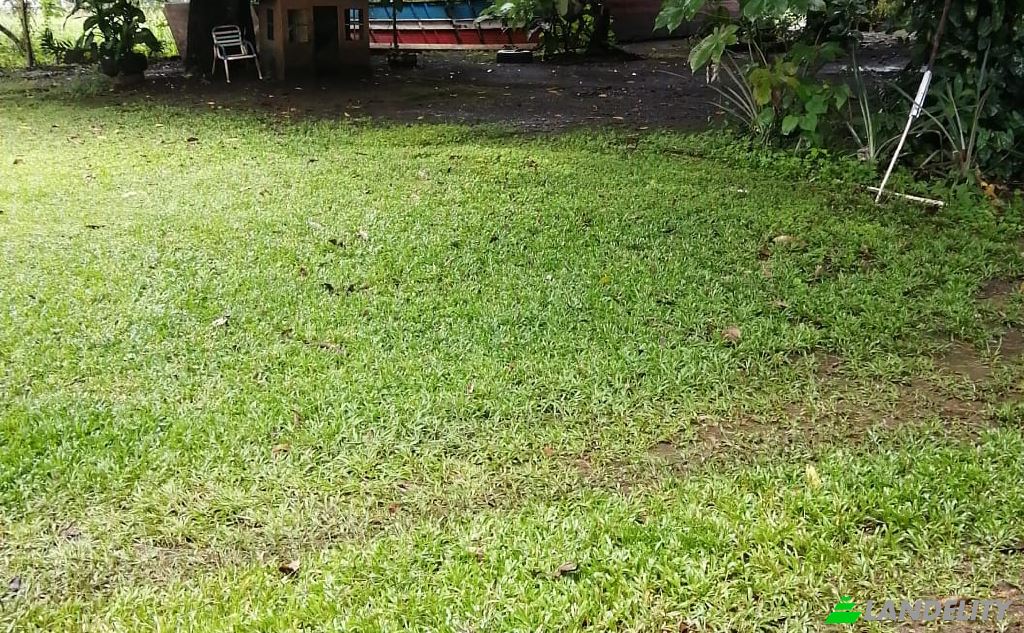 Lot de terrain à vendre Provincia de Alajuela, Orotina, Alajuela Province, Costa Rica. Photo 4