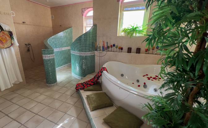 Mansion for Sale Diseminado la Rosa. Photo#13 Mansion for Sale Diseminado la Rosa. Photo#13