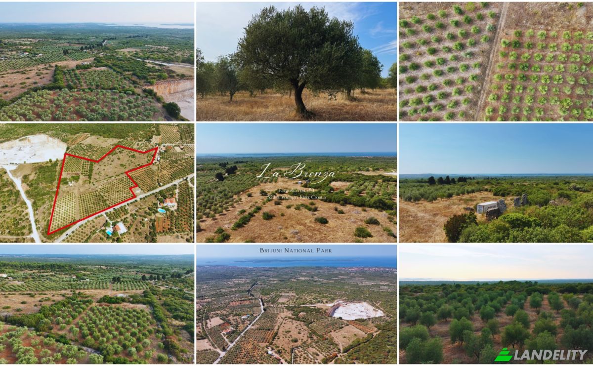 Farm/Ranch for Sale Fazanska cesta 53, 52215, Vodnjan, Grad Vodnjan, Istria County, Croatia. Photo 10