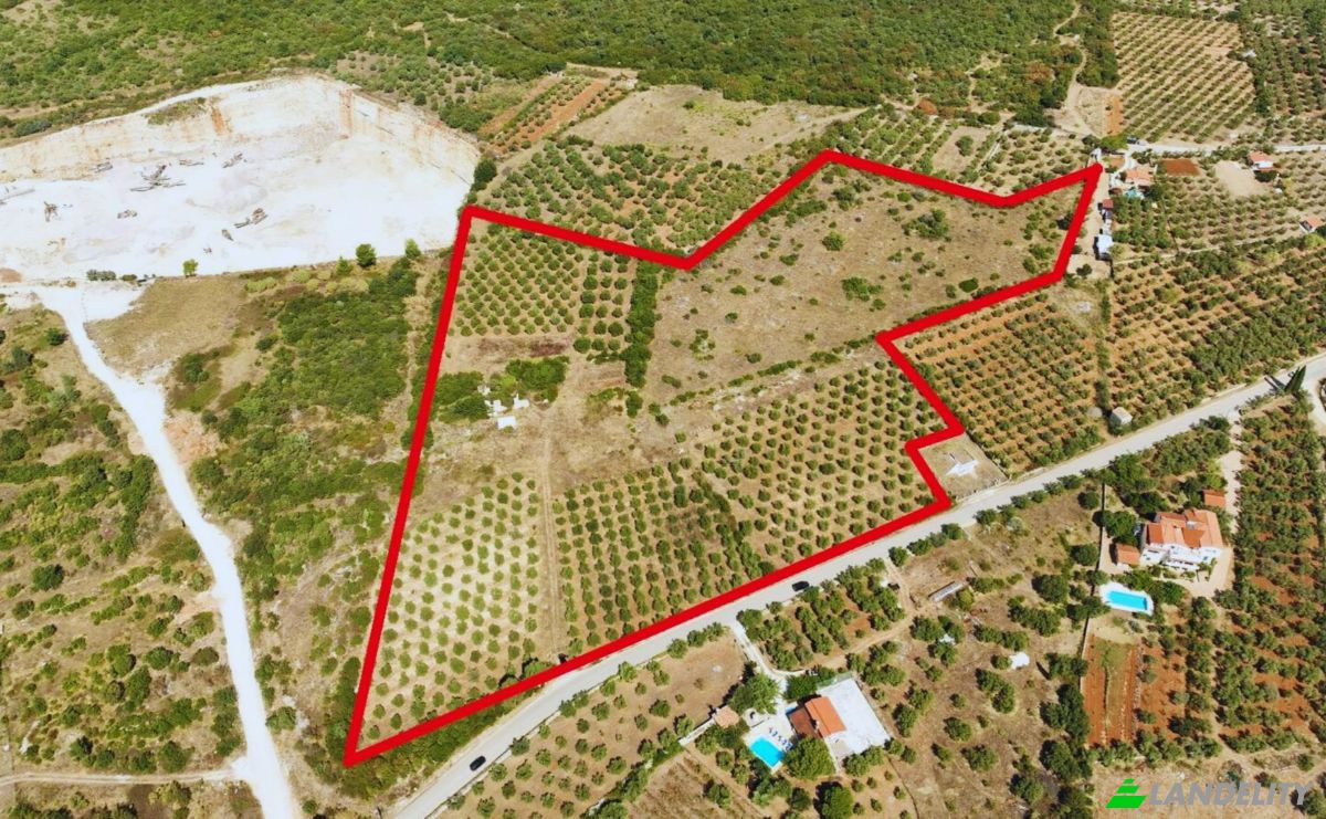 Farm/Ranch for Sale Fazanska cesta 53, 52215, Vodnjan, Grad Vodnjan, Istria County, Croatia. Photo 3