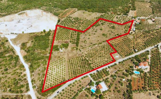 Farm/Ranch for Sale Fazanska cesta 53, 52215. Photo#3