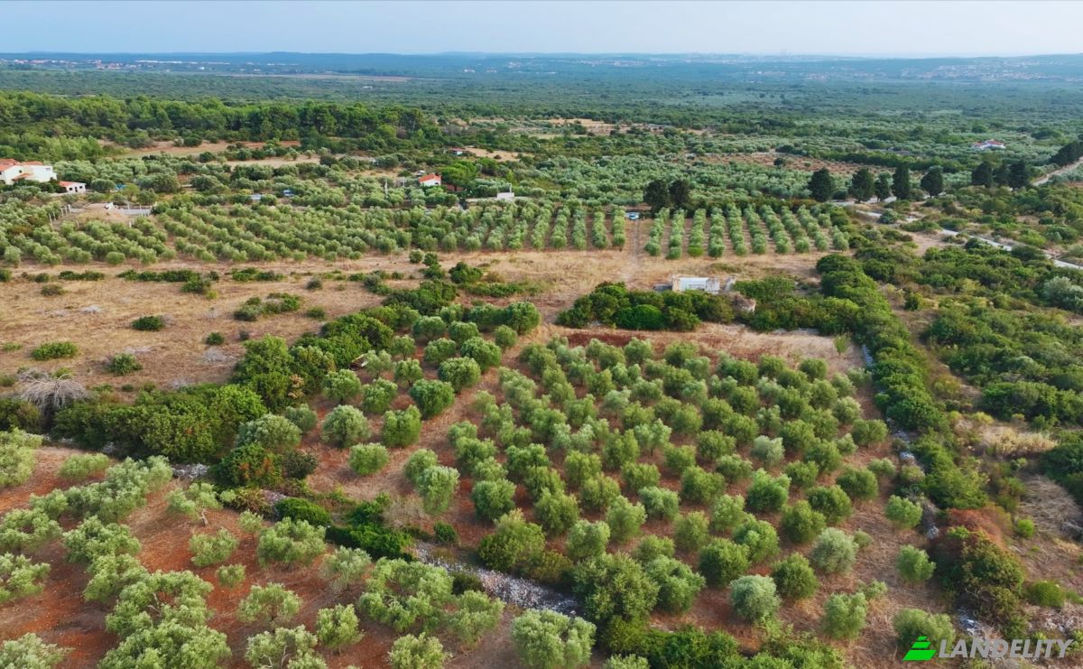 Farm/Ranch for Sale Fazanska cesta 53, 52215, Vodnjan, Grad Vodnjan, Istria County, Croatia. Photo 6