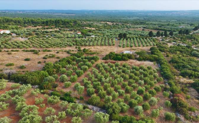 Farm/Ranch for Sale Fazanska cesta 53, 52215. Photo#6