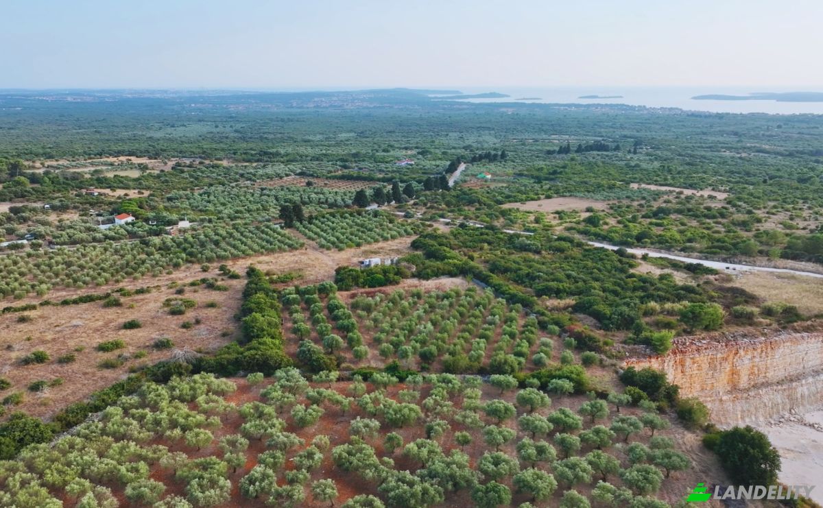 Farm/Ranch for Sale Fazanska cesta 53, 52215, Vodnjan, Grad Vodnjan, Istria County, Croatia. Photo 8