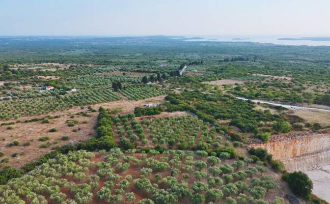 Farm/Ranch for Sale Fazanska cesta 53, 52215. Photo#8
