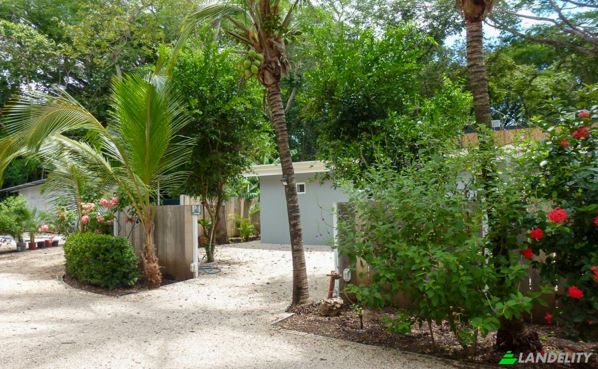 Investing/Development for Sale C Aguacate, Provincia de Guanacaste, Santa Cruz, Guanacaste Province, Costa Rica, Potrero, playa, 50304. Photo 4