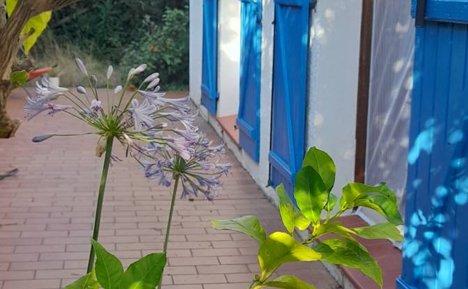 Single Family Home for Sale 8 Rue du Mouli del. Photo#5